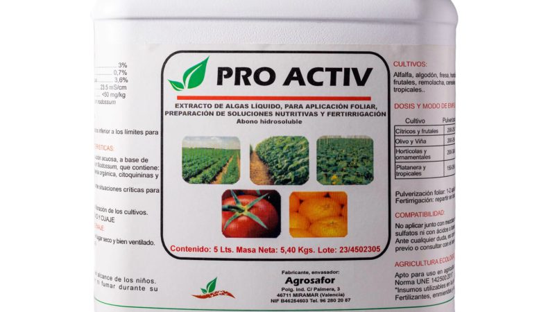pro activ garrafa