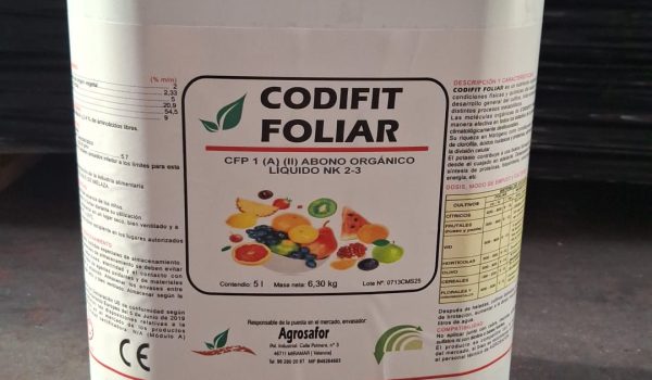 WhatsApp Image 2026-03-26 at 17.23.04